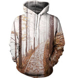 Stars Nebula Autumn Winter